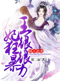 小说：邪王追妻：王妃很狂很暴力，作者：影二叔