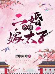 小说：二婚必须嫁太子，作者：雪中回眸