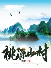 小说：桃源山村，作者：海胆王