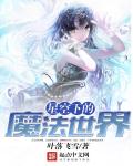 小说：星空下的魔法世界，作者：叶落飞雪