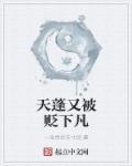 小说：天蓬又被贬下凡，作者：一念灵台方寸间