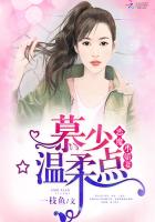 小说：恶魔小娇妻：慕少，温柔点，作者：一枝鱼