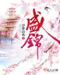 小说：盛锦，作者：浮梦清欢