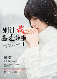 小说：别让我继续遗忘，作者：顾弦