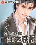 小说：重生之铁腕，作者：刀锋起舞