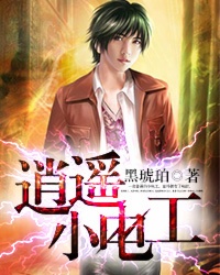 小说：逍遥小电工，作者：黑琥珀