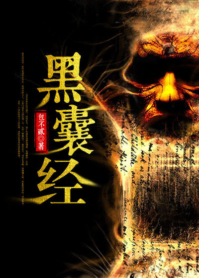小说：黑囊经，作者：包不贰