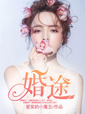 小说：婚途，作者：爱笑的小魔王