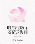 小说：明月出天山，苍茫云海间，作者：南街44号
