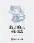 小说：脑子的正确用法，作者：松山白