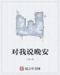 小说：对我说晚安，作者：D秦