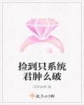 小说：捡到只系统君肿么破，作者：哇有蚊啊
