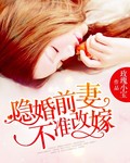 小说：隐婚前妻不准改嫁，作者：玫瑰小宝