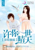 小说：深情独霸：许你一世晴天，作者：周小妞