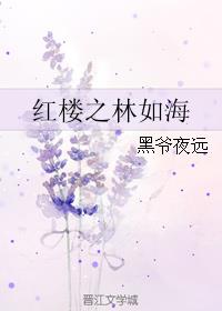 小说：红楼之林如海，作者：黑爷夜远