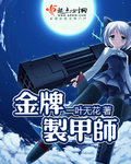 小说：金牌制甲师，作者：一叶无花