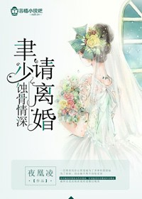 小说：蚀骨情深，聿少请离婚，作者：夜凰凌