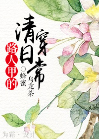 小说：路人甲的清穿日常，作者：蜂蜜乌龙茶