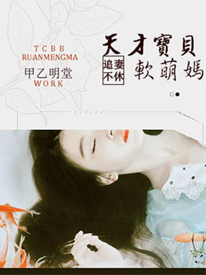 小说：追妻不休：天才宝贝软萌妈，作者：甲乙明堂