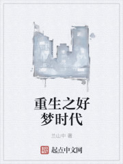 小说：重生之好梦时代，作者：兰山中