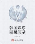 小说：韩国娱乐圈见闻录，作者：黑风洞