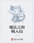 小说：魔法之海贼入侵，作者：三洋