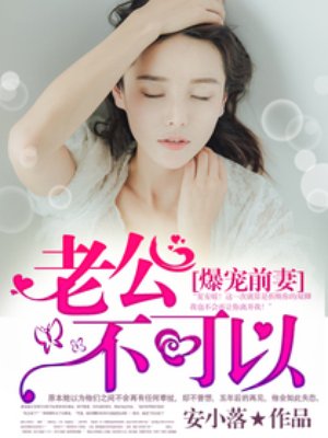 小说：爆宠前妻：老公，不可以，作者：安小落