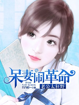 小说：呆妻闹革命，作者：九九归一