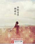 小说：韩娱之你的名字，作者：褪色的果混