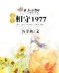 小说：重生相守1977，作者：公羊鱼