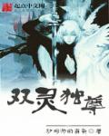 小说：双灵独尊，作者：炒鸡帅的萌新
