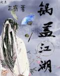 小说：锅盖江湖，作者：三拐