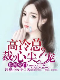 小说：误闯豪门：高冷总裁心尖宠，作者：玲珑小公子