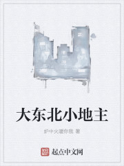 小说：大东北小地主，作者：炉中火暖你我