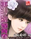 小说：重生之辉煌青春，作者：月逸清辉