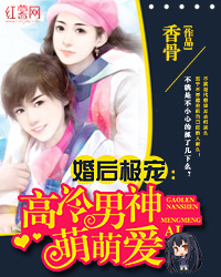 婚后极宠:高冷男神萌萌爱