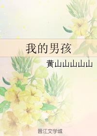小说：我的男孩，作者：黄山山山山山