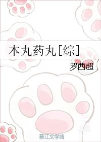 小说：本丸药丸[综]，作者：罗西超