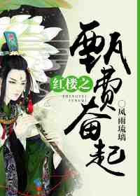 小说：红楼之甄费奋起，作者：风雨琉璃