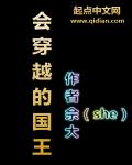 小说：会穿越的国王，作者：佘大