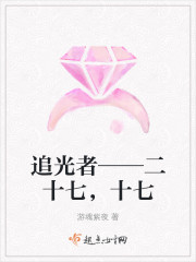 小说：追光者――二十七，十七，作者：游魂紫夜