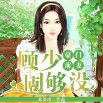 小说：豪门前妻:顾少闹够没，作者：苏洛洛