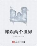 小说：韩娱两个世界，作者：小珑包的老公