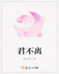小说：君不离，作者：枫之梦儿