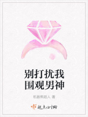 小说：别打扰我围观男神，作者：机器熊超人