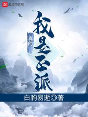 小说：我真的是正派，作者：白驹易逝