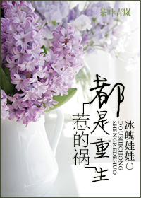 小说：都是重生惹的祸，作者：冰魄娃娃