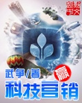 小说：人品科技系统，作者：武争