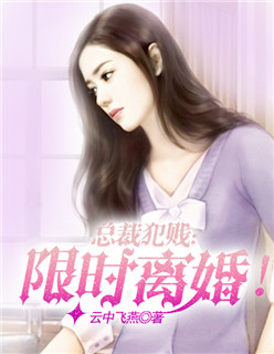 小说：总裁犯贱：限时离婚！，作者：云中飞燕