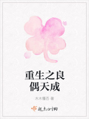 小说：重生之良偶天成，作者：木木懂否